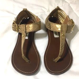 Steve Madden Gladiator Sandals